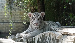 Potongan Rp40 Ribu image