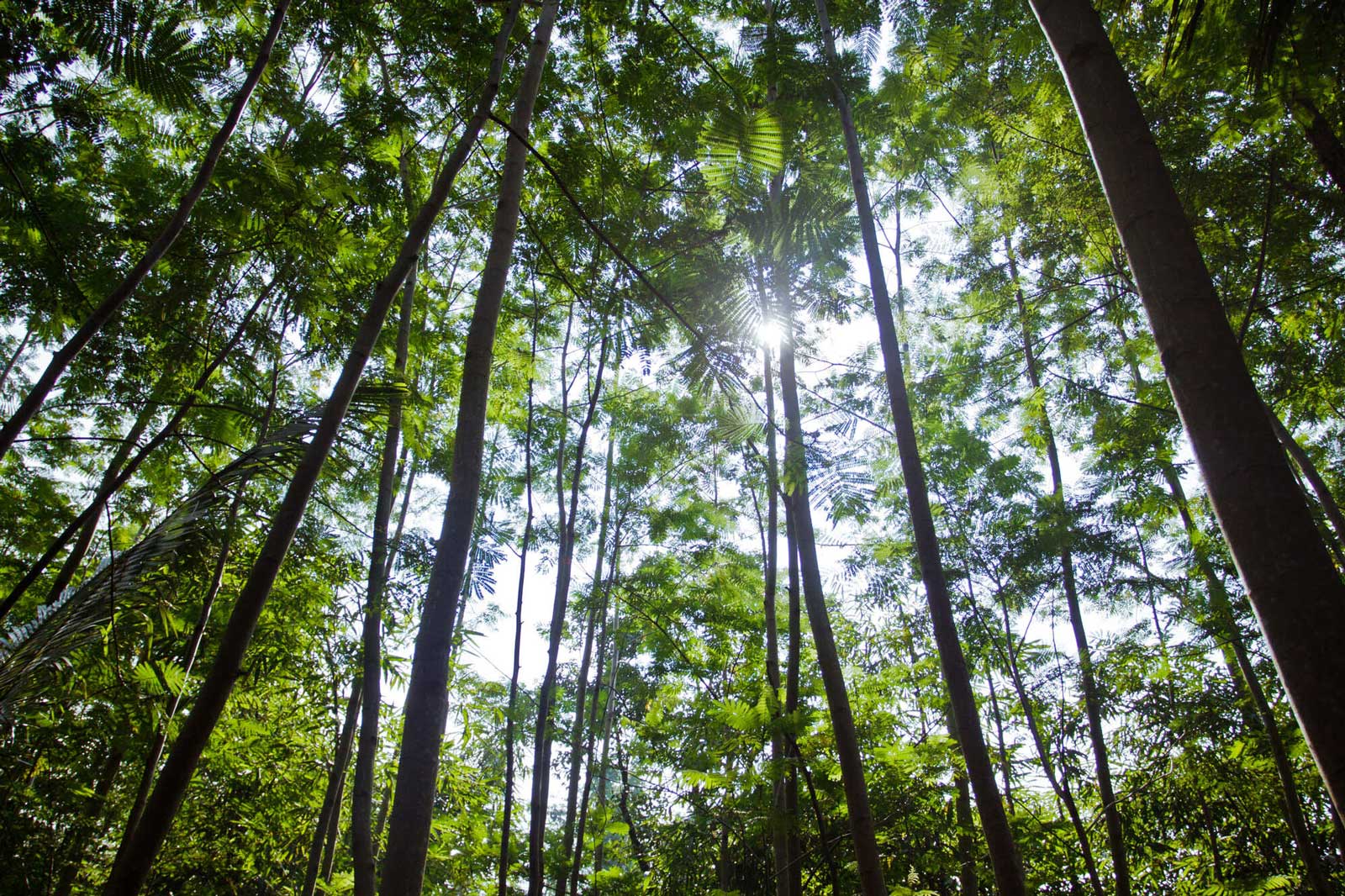 Pelestarian Lingkungan & Keanekaragaman Hayati