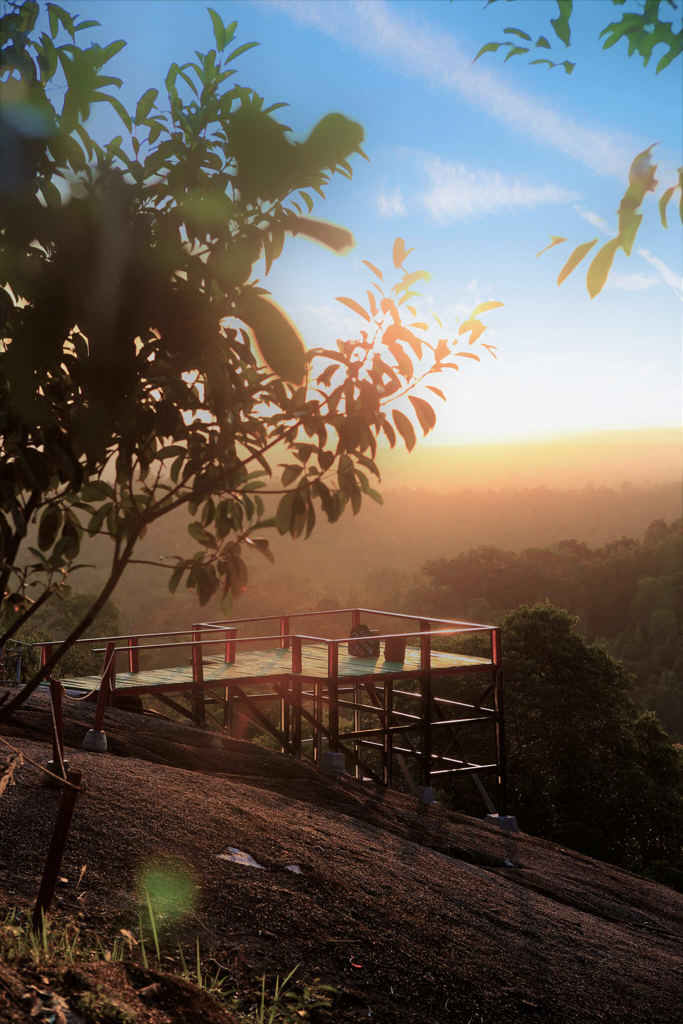 Climate Risk Management & Scenario Analysis