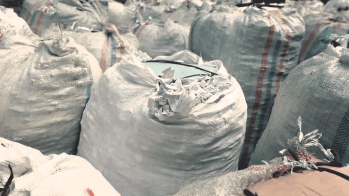 Green Champion Program