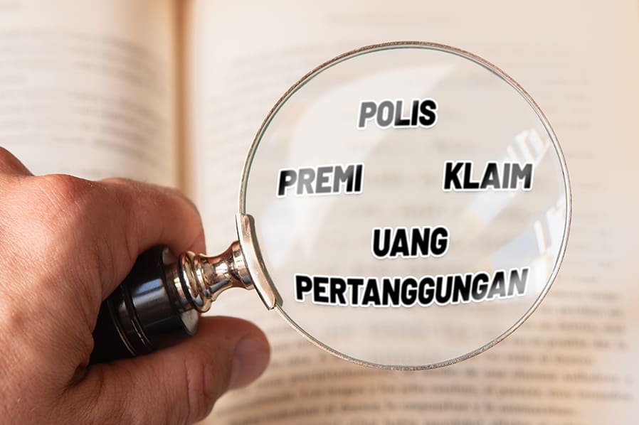 20241220-B9778B26-AD4D-4E59-8002-E0F2C52C08FC-WEB