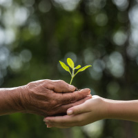 20220705-01C4B533-3587-46F6-88FC-EB4E0AFAFE87-WEB