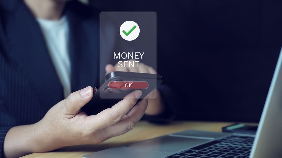 20241128-1A5EDDF0-FB50-4944-B780-84F49E5E5495-WEB