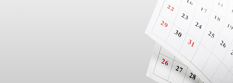 20250815-792F1CDD-8833-46C8-ACBD-96B9FDCD976A-WEB