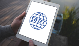 20240911-9DE16BB5-296F-415B-91F6-5664CC5C745F-WEB