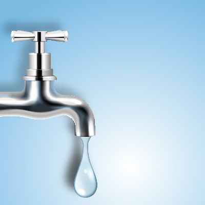 20241118-BB312D92-0C1B-4060-A51A-4E09BC5E230D-WEB