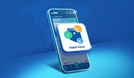 20260313_Transfer-valas-thum