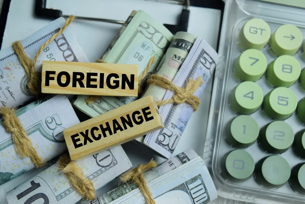 FX Reserves: The Cost of Calm
