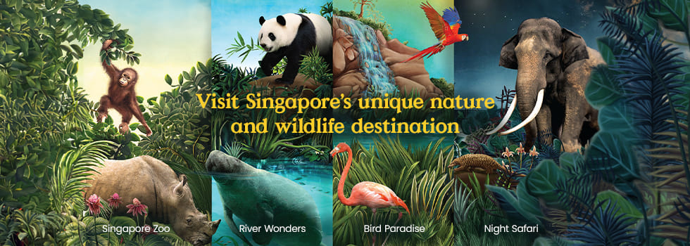 Complimentary Tiket Masuk Mandai Wildlife Reserve & Diskon 40% image