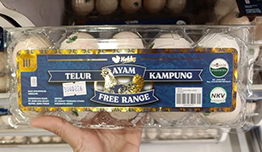 Dapatkan Telur image