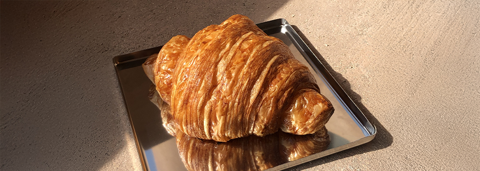 20250212_WebInsertion-Image-gigi-susu