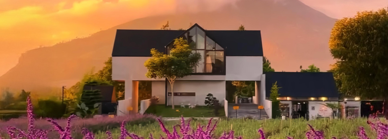 20250611_Sarune_banner