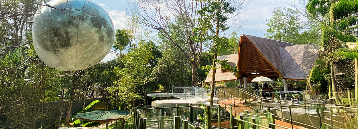 20250630_heha-forest-bann