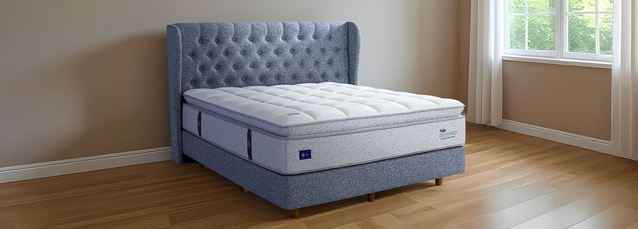 20250707_alga-banner