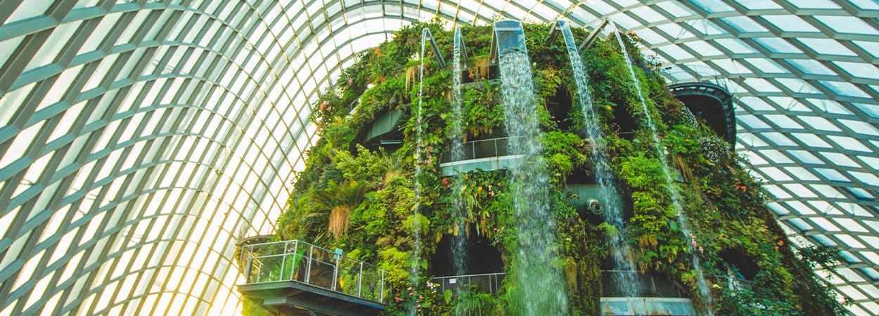 20250723_JCBsg-Komp-banner