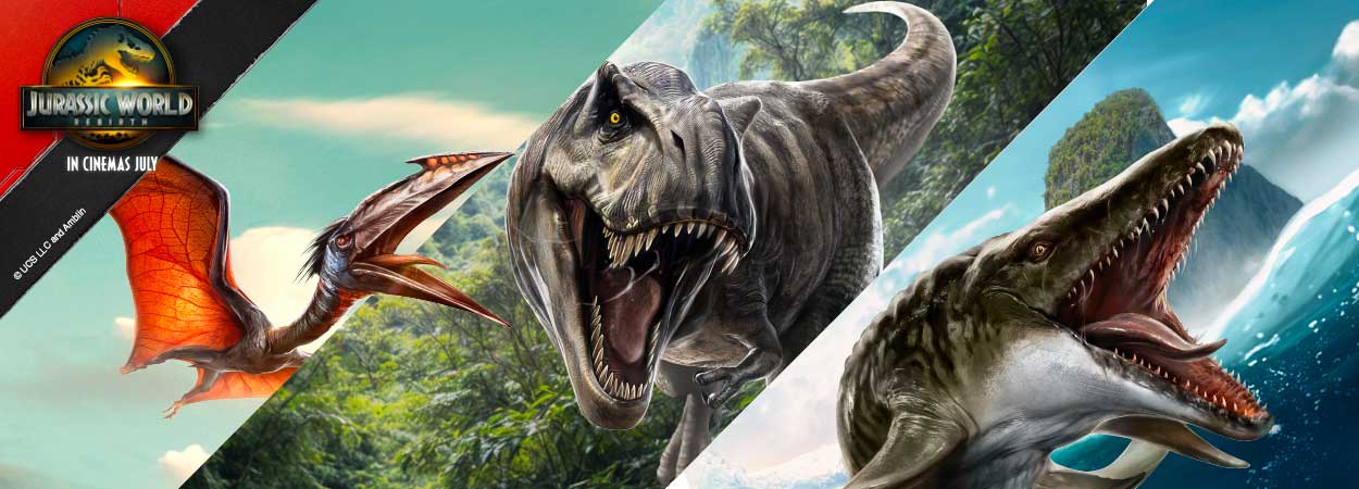 20250723_toys-kingdom-bann