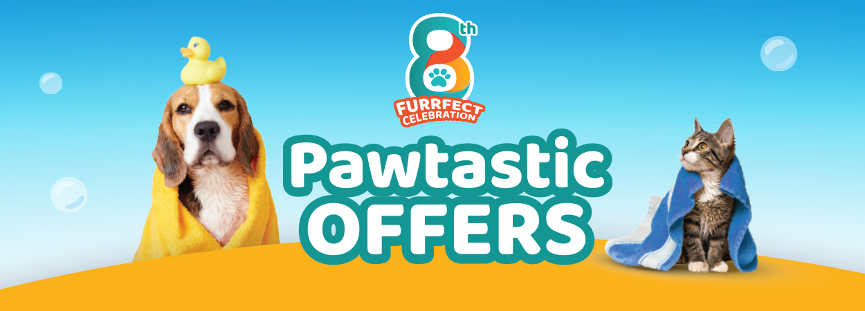 20250725_Pet-Kingdom-Banner