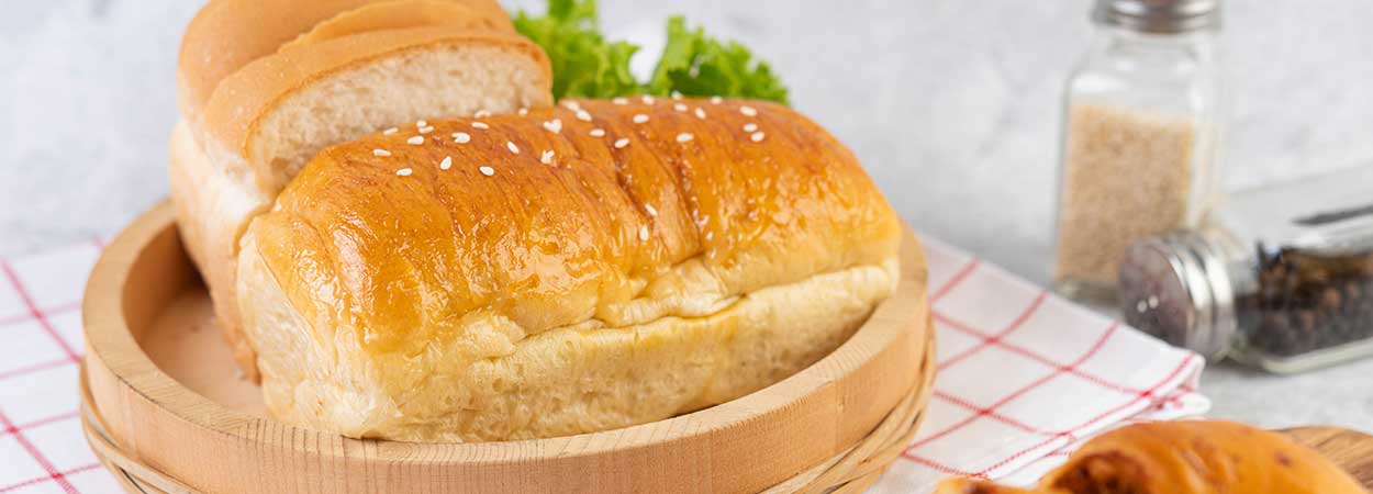 20250811_Web-banner_YKHO