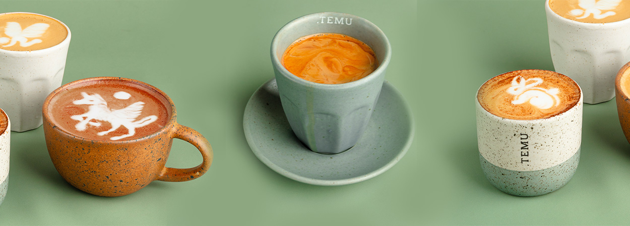20250930_TEMU-Banner
