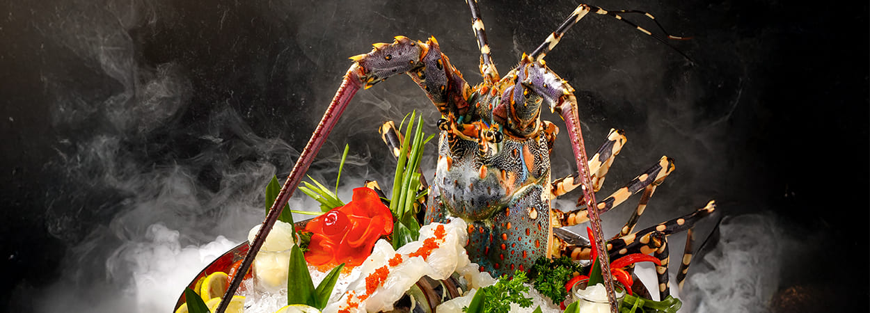 20251020_MayStar-PIK-Banner