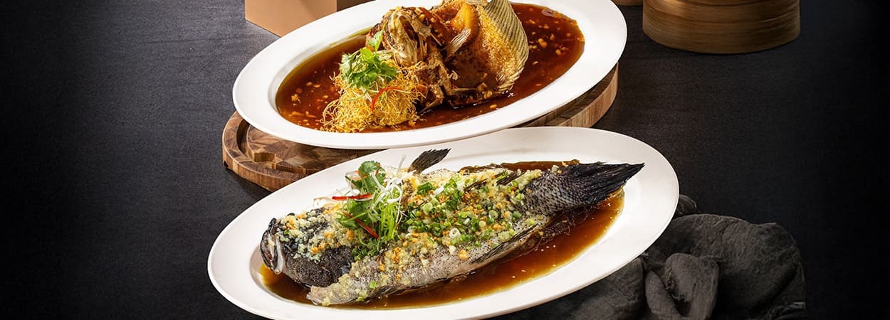 20251112_May-Star-Malang-banner