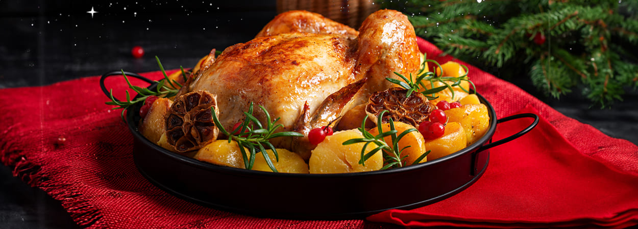 20251224_Indigo-Banner