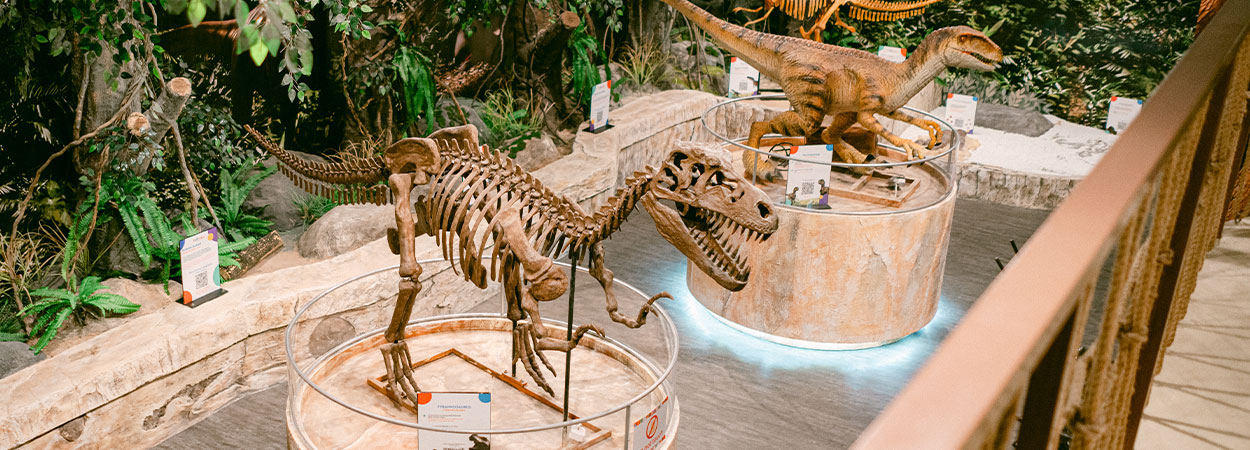 20260119_Funtasia_Web-Insertion_1250x450_H