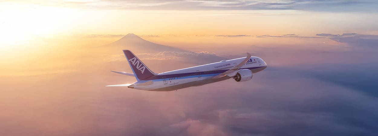 20260203_ANA-banner