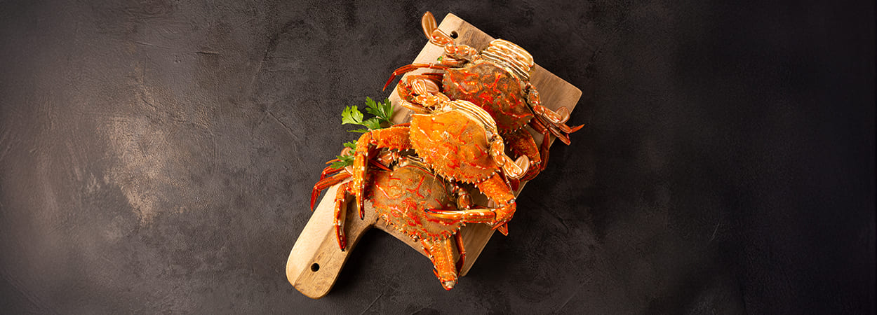 20260213_ujungpandang-banner