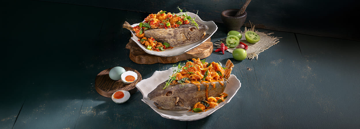 20260302_jalarasa-banner