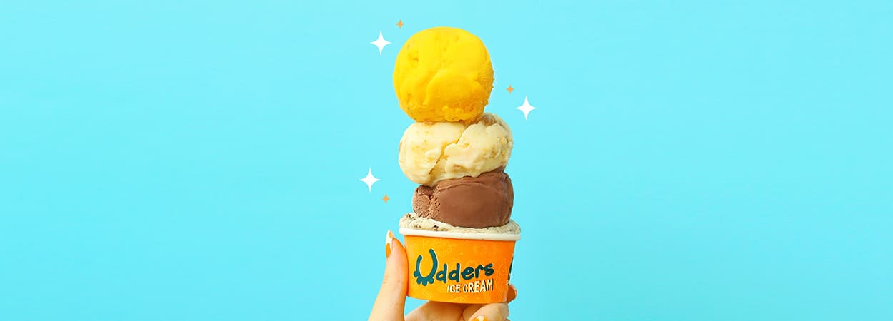 20260305_Udders-banner