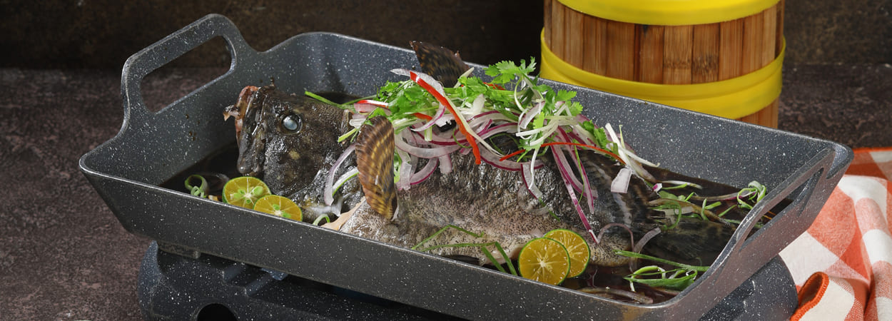 20260317_ocean-8-banner