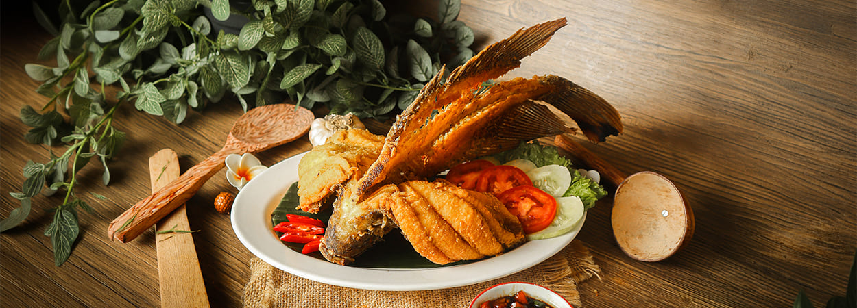 20260423_Kamarasan-banner