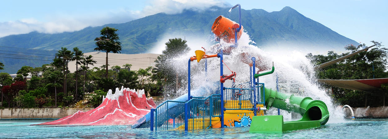 20260427_thejungle-banner