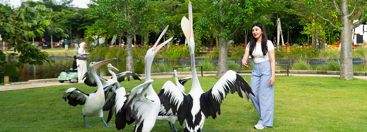 20260522_aviary-park-banner