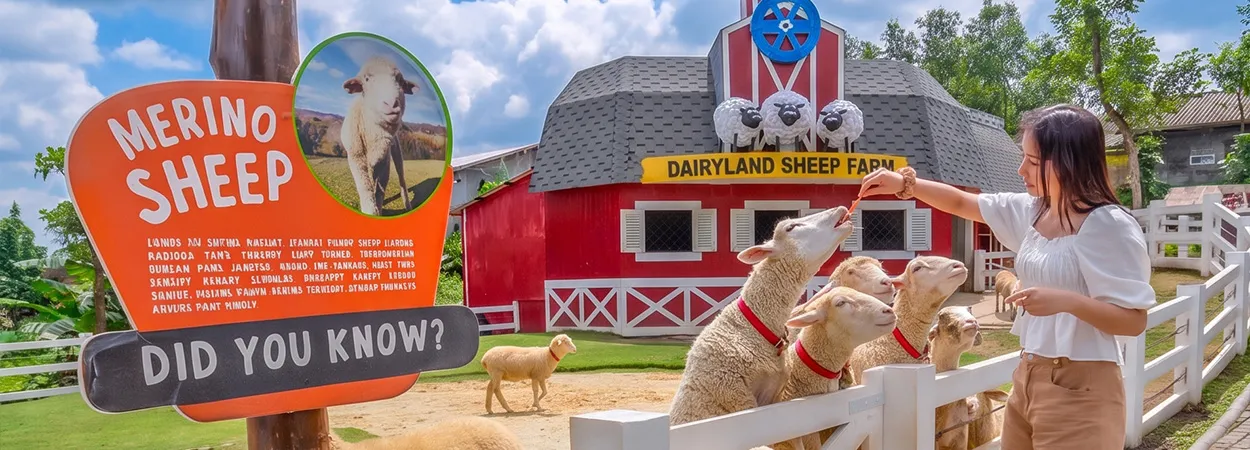 20261027_dairyland-prigen-banner