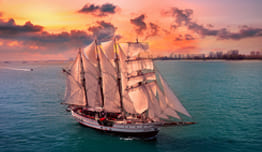 Diskon Hingga 15% untuk Dine Cruise image