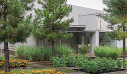 Rumah Atsiri - Get IDR50,000 Off