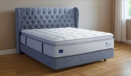 ALGA  - Discoun 10%