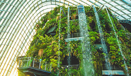 Harga Spesial Attractions Bundle image