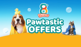 Diskon 20% Basic Grooming di Pet Kingdom image