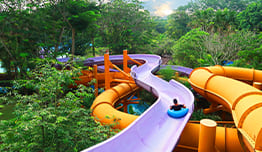 Up to 69% Entrance Ticket Discount image