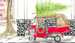 Dapatkan Cashback Hingga Rp150 Ribu di Lokal Indonesia image