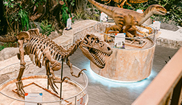 5% Discount and Extra Locker image