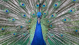 Special Offers image