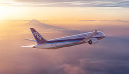 ANA (All Nippon Airways) - Hemat Hingga 15%