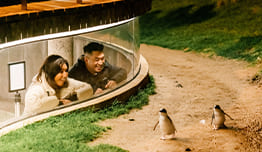 Cashback Up To IDR5 Million & Exclusive Offers image