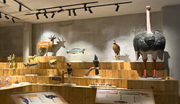 Buy 2 Get 4 Entry Accesses image