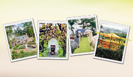 Discount up to 35% image