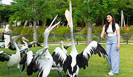 Discount up to 35% Entry Ticket image